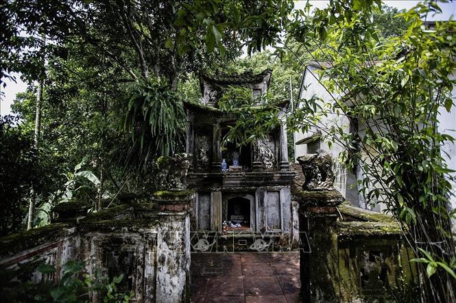 Không gian sống vẫn còn giữ được nhiều nét cổ kính của dòng họ Đinh Công tại Mường Cời, xã Lương Sơn tỉnh Phú Thọ. Ảnh: Trọng Đạt-TTXVN