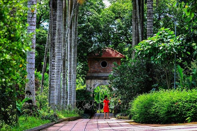 Không gian sống vẫn còn giữ được nhiều nét cổ kính của dòng họ Đinh Công tại Mường Cời, xã Lương Sơn tỉnh Phú Thọ. Ảnh: Trọng Đạt-TTXVN
