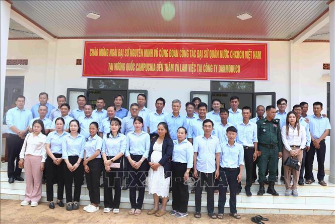 Đoàn công tác Đại sứ quán Việt Nam tại Vương quốc Campuchia và cán bộ, nhân viên, công nhân Công ty Phát triển Cao su Đắk Lắk - Mondulkiri, trên địa bàn tỉnh Mondulkiri, Campuchia. Ảnh: Huỳnh Thảo-PV TTXVN tại Campuchia