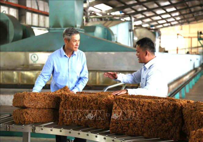 Đại sứ Nguyễn Minh Vũ tham quan nhà máy chế biến mủ cao su của Công ty TNHH Phát triển Cao su Hoàng Anh Mang Yang K thuộc Tập đoàn Công nghiệp Cao su Việt Nam, trên địa bàn tỉnh Ratanakiri, Campuchia. Ảnh: Huỳnh Thảo - PV TTXVN tại Campuchia