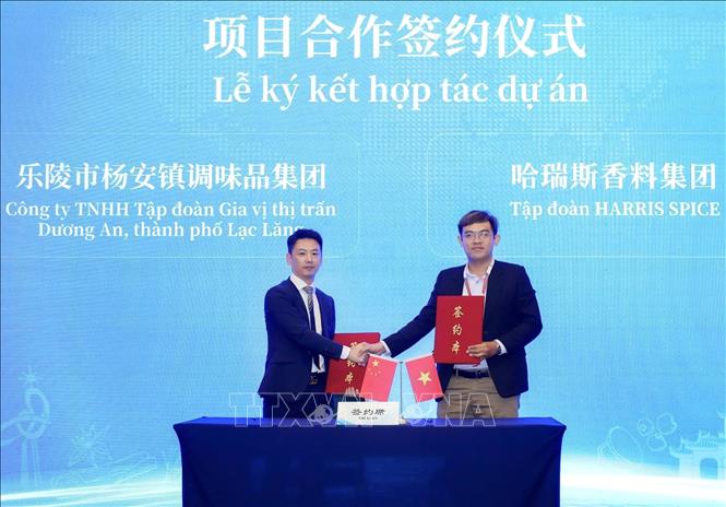 Đại diện doanh nghiệp ký kết hợp tác tại sự kiện. Ảnh: Mỹ Phương – TTXVN