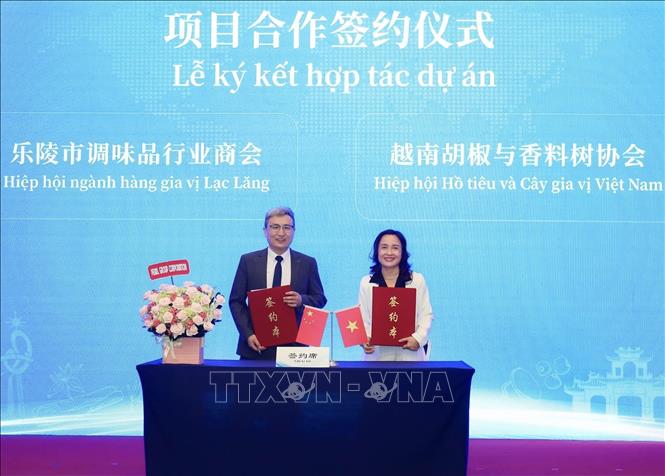 Đại diện doanh nghiệp ký kết hợp tác. Ảnh: Mỹ Phương – TTXVN