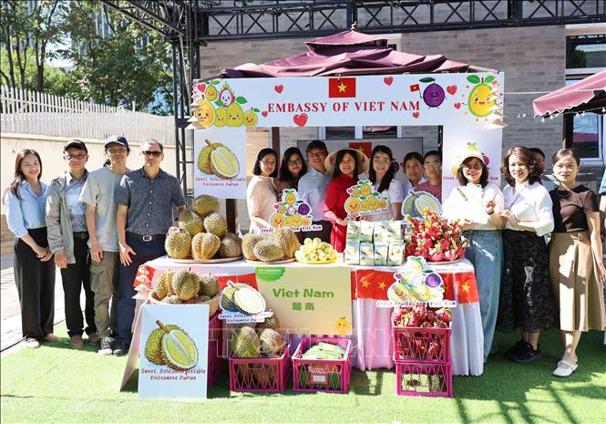 Gian hàng sầu riêng của Đại sứ quán Việt Nam tại Bắc Kinh. Ảnh: Công Tuyên-PV TTXVN tại Trung Quốc