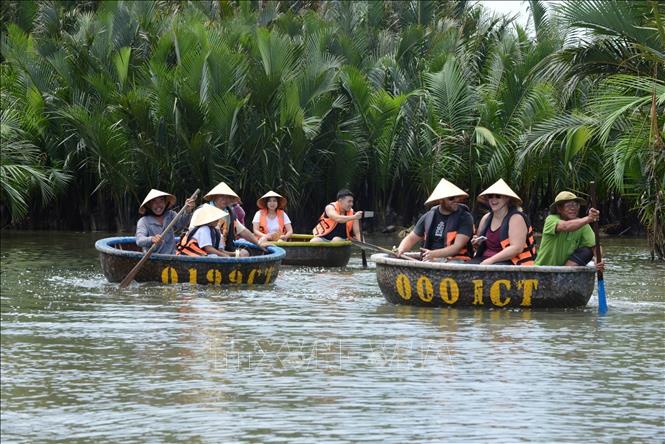 Du khách đến tham quan rừng dừa Bảy Mẫu (phường Hội An Đông). Ảnh: Hải Âu-TTXVN
