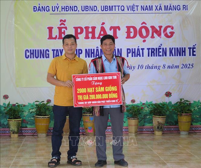 Các doanh nghiệp hỗ trợ hạt giống sâm Ngọc Linh cho người dân xã Măng Ri. Ảnh: Dư Toán – TTXVN