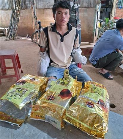 Đối tượng Giàng Seo Hòa cùng tang vật. Ảnh: TTXVN phát