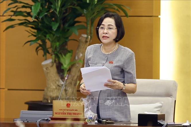 Phó Chủ tịch Quốc hội Nguyễn Thị Thanh phát biểu. Ảnh: Doãn Tấn - TTXVN