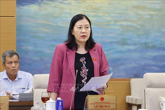 Phó Chủ nhiệm Thường trực Ủy ban Dân nguyện và Giám sát của Quốc hội Lê Thị Nga phát biểu. Ảnh: Doãn Tấn - TTXVN