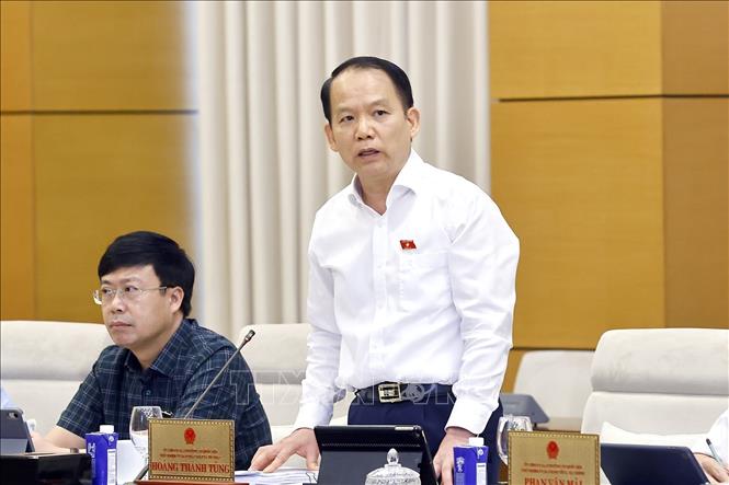 Chủ nhiệm Ủy ban Pháp luật và Tư pháp của Quốc hội Hoàng Thanh Tùng phát biểu. Ảnh: Doãn Tấn - TTXVN