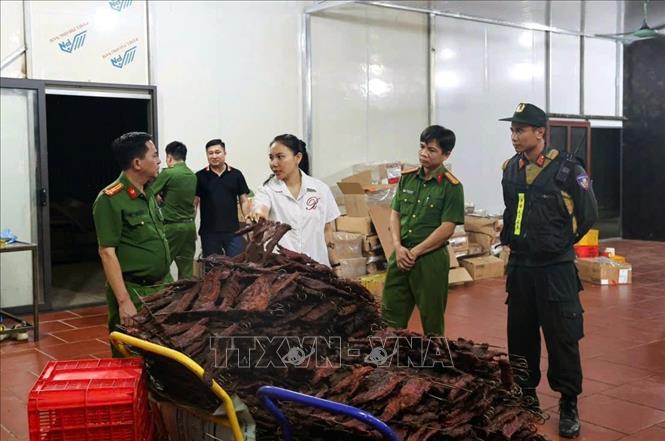 Hàng chục tấn thịt trâu, lợn tươi và thịt sấy không thành phẩm không đảm bảo vệ sinh an toàn thực phẩm chuẩn bị được đưa ra thị trường tiêu thụ. Ảnh: TTXVN phát