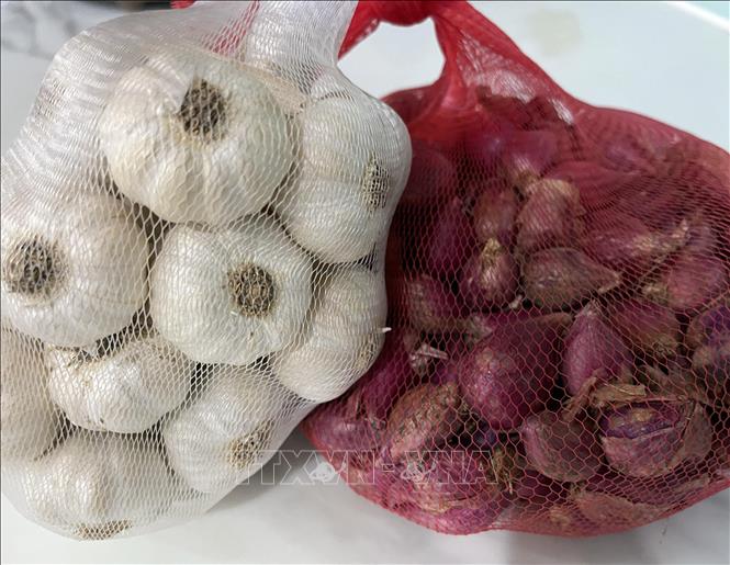 Hiện giá hành và tỏi khô xã Vĩnh Hải thấp gần một nửa so với cùng kỳ năm 2024. Ảnh: Công Thử - TTXVN