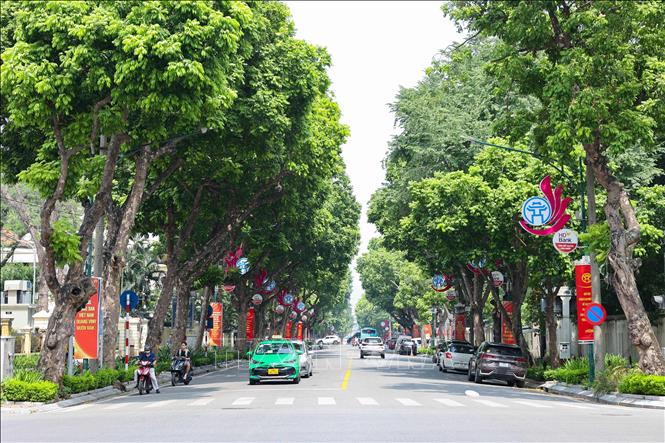 Những tuyến phố rợp bóng cây xanh của Hà Nội trở nên rực rỡ hơn với sắc màu biểu ngữ và băng rôn tuyên truyền. Ảnh: Vũ Quang - TTXVN
