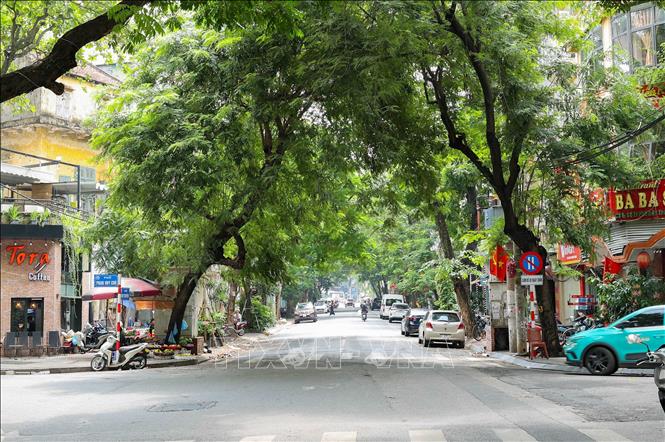 Những tuyến phố của Thủ đô rợp bóng cây xanh trong những ngày kỷ niệm 80 năm cách mạng Tháng Tám và Quốc khánh nước CHXHCN Việt Nam. Ảnh: Vũ Quang - TTXVN