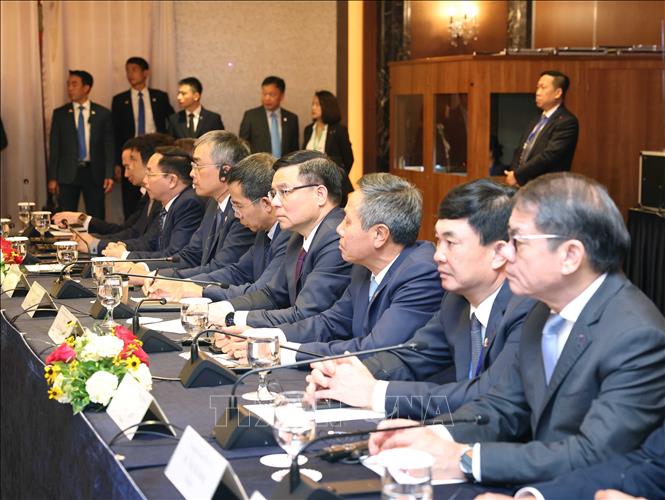 Các đại biểu đoàn Việt Nam dự buổi gặp gỡ. Ảnh: Thống Nhất – TTXVN