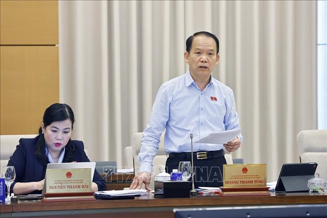 Chủ nhiệm Ủy ban Pháp luật và Tư pháp của Quốc hội Hoàng Thanh Tùng phát biểu. Ảnh: Doãn Tấn - TTXVN