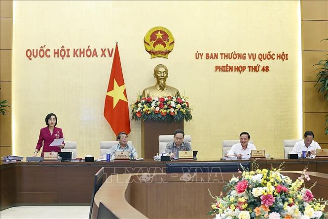 Phó Chủ tịch Quốc hội Nguyễn Thị Thanh phát biểu. Ảnh: Doãn Tấn - TTXVN