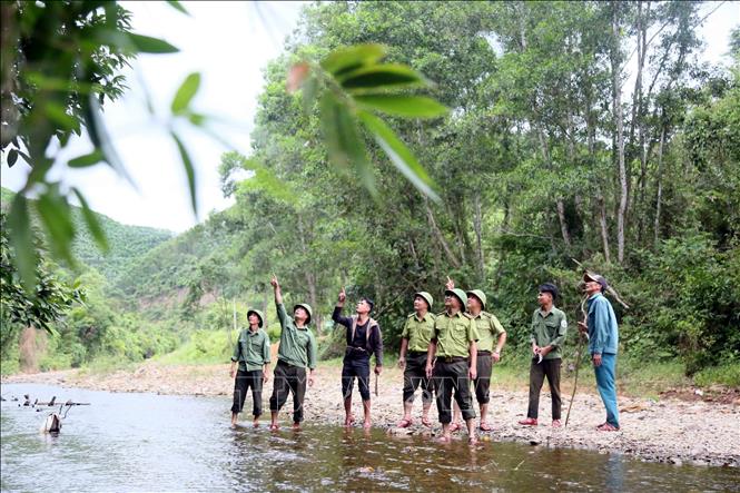 Người dân xã Kim Ngân cùng cán bộ Trạm bảo vệ cơ động (Ban Quản lý Khu dự trữ thiên nhiên Động Châu - Khe Nước Trong) tuần tra bảo vệ rừng. Ảnh: Tá Chuyên - TTXVN