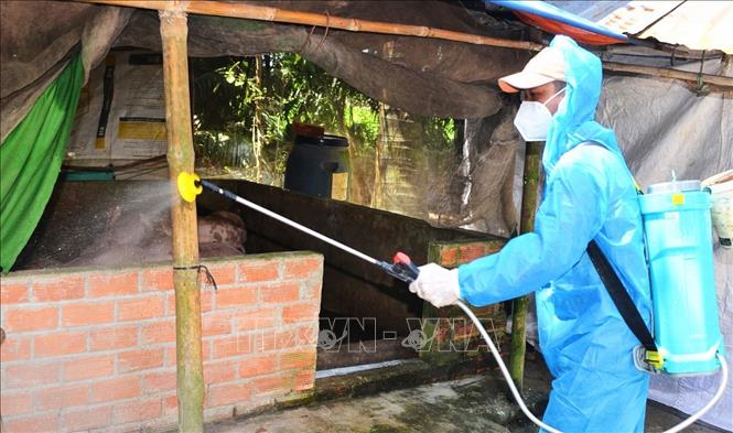 Nhân viên thú y phun thuốc tiêu độc, khử trùng chuồng trại tại xã Thạnh Hưng, tỉnh An Giang. Ảnh: Công Mạo-TTXVN