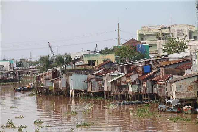 Nhiều căn nhà lụp xụp lợp tôn, bên dưới chống bằng cây gỗ hoặc bê tông nằm ven kênh Bảo Định, phường Mỹ Tho, tỉnh Đồng Tháp. Ảnh: Đức Tâm - TTXVN
