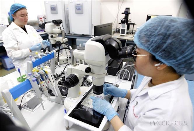 Việt Nam đang trong quá trình chuyển mình mạnh mẽ, với sự phát triển vượt bậc của công nghệ số trên mọi lĩnh vực, từ thương mại điện tử, tài chính, đến giáo dục và y tế, công nghệ... . Trong ảnh: Đông đảo sinh viên trong nước và quốc tế tham gia học tập, nghiên cứu tại Phòng thí nghiệm Công nghệ Sinh học, Trường Đại học Quốc tế, Đại học Quốc gia Thành phố Hồ Chí Minh. Ảnh: Thanh Vũ-TTXVN
