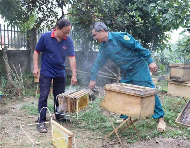 Nuôi ong lấy mật ở xã Cúc Phương, tỉnh Ninh Bình. Ảnh: Thùy Dung - TTXVN