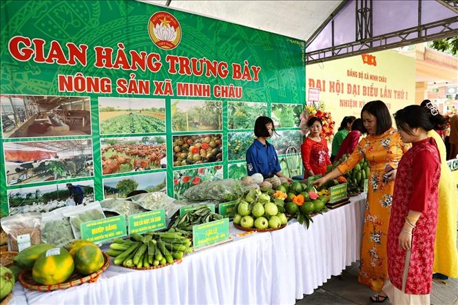 Gian hàng trưng bày nông sản của xã đảo Minh Châu giới thiệu những sản phẩm đặc trưng của địa phương. Ảnh: Vũ Quang - TTXVN