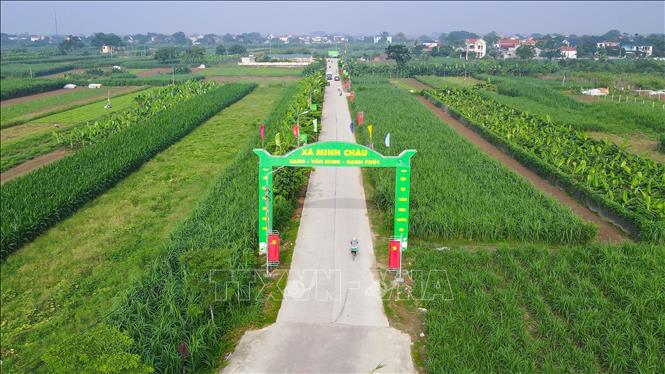 Đường xã Minh Châu được bê tông hóa. Ảnh: Vũ Quang - TTXVN