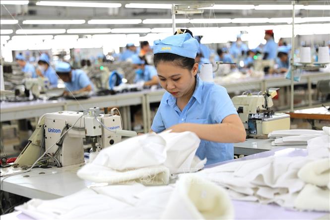 Hoạt động sản xuất tại Công ty TNHH MSA YB (Tuyên Quang). Ảnh: Minh Tâm - TTXVN