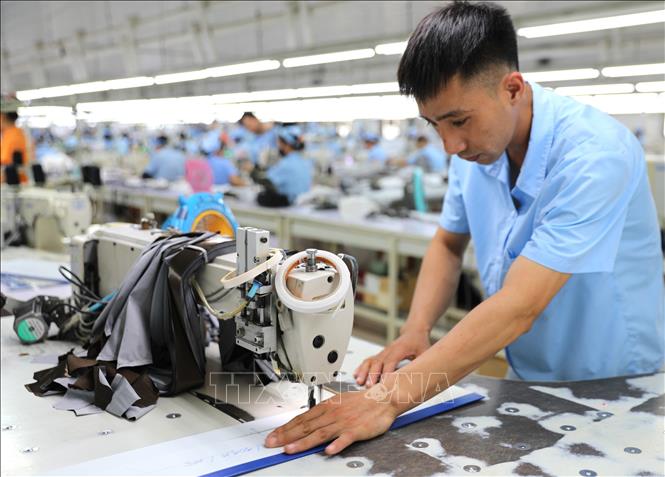 Hoạt động sản xuất tại Công ty Trách nhiệm Hữu hạn MSA YB (Tuyên Quang). Ảnh: Minh Tâm - TTXVN