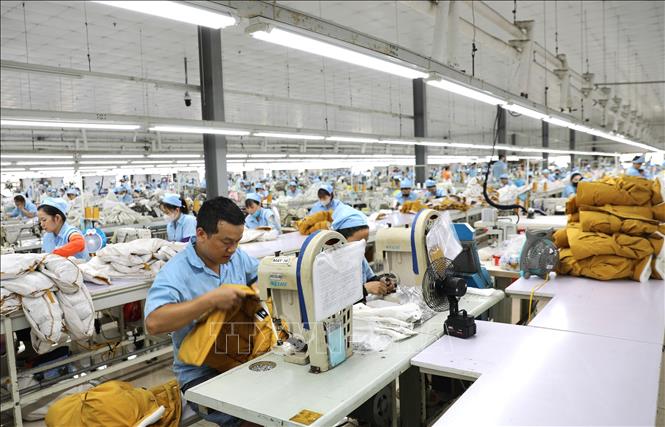 Hoạt động sản xuất tại Công ty TNHH MSA YB (Tuyên Quang). Ảnh: Minh Tâm - TTXVN
