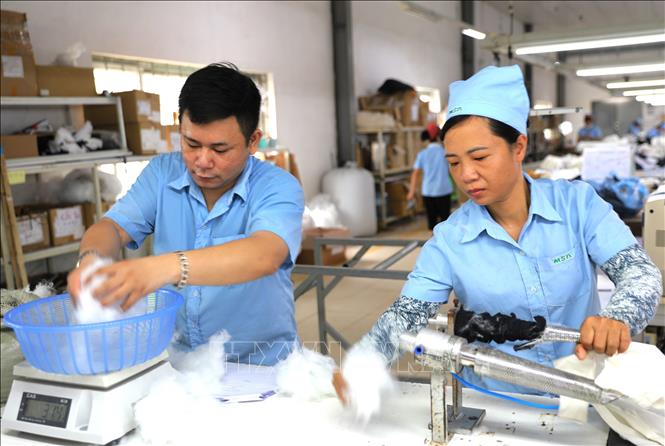 Hoạt động sản xuất tại Công ty TNHH MSA YB (Tuyên Quang). Ảnh: Minh Tâm - TTXVN