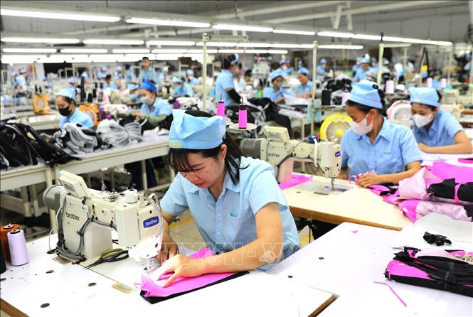 Hoạt động sản xuất tại Công ty TNHH MSA YB (Tuyên Quang). Ảnh: Minh Tâm - TTXVN