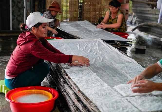 Xếp bún cẩn thận lên vỉ tre chuẩn bị đem đi phơi. Ảnh: Khánh Hoà – TTXVN 