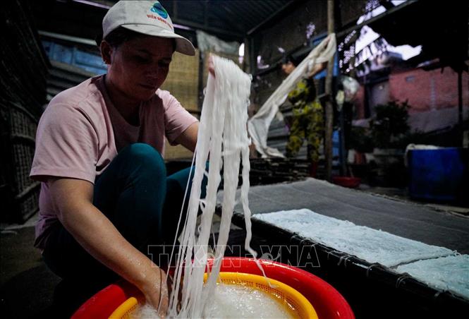 Công đoạn làm bún Song Thằn khá kỳ công: Đậu xanh sẽ được dây và chắt lọc nước nhiều lần để tạo thành bột tinh chất màu trắng tinh sau đó mới đem đi làm bún. Độ tiêu hao nguyên liệu cũng rất lớn, 5 ký đậu xanh hạt sẽ xay được 1,2kg đậu tinh chất và 1,2 ký tinh chất này làm ra được 1 ký bún Song Thằn khô. Ảnh: Khánh Hoà – TTXVN 