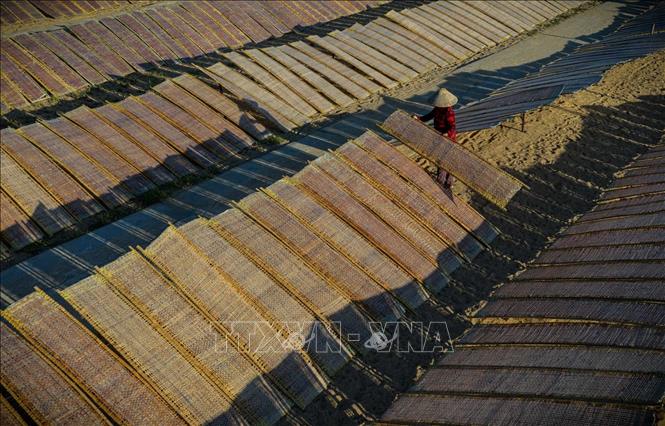 Lật giở bún, bánh trên giàn phơi. Ảnh: Khánh Hoà – TTXVN 