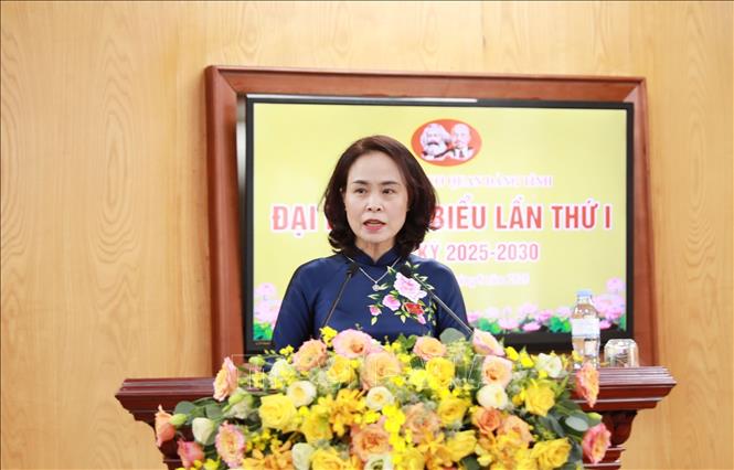 Đồng chí Đào Bích Vân, Ủy viên Ban Chấp hành Đảng bộ tỉnh Lai Châu, Phó Bí thư Đảng ủy các cơ quan Đảng tỉnh Lai Châu phát biểu. Ảnh: Quý Trung – TTXVN