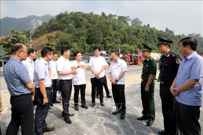 Đoàn công tác của Cục Phòng bệnh, Bộ Y tế giám sát công tác phòng, chống dịch Chikungunya tại khu vực thông quan hàng hóa, cửa khẩu quốc tế Hữu Nghị, tỉnh Lạng Sơn. Ảnh: Văn Đạt - TTXVN