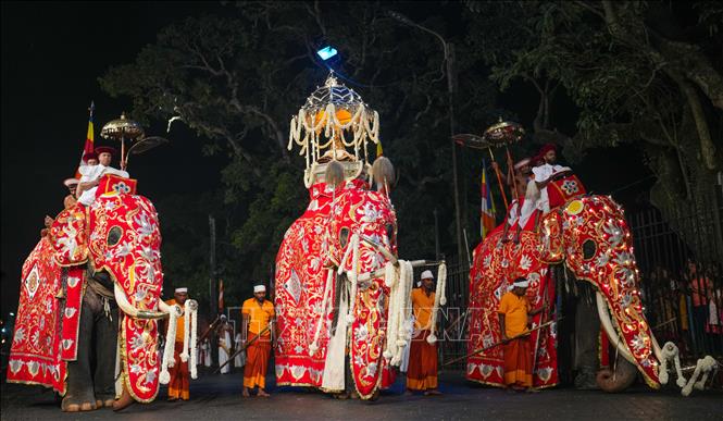 Lễ hội Esala Perahera (lễ hội rước xá lợi răng Phật) là một trong những lễ hội Phật giáo truyền thống lớn nhất ở Sri Lanka, với lịch sử hơn 1000 năm. Lễ hội được tổ chức vào tháng 7 - 8 hàng năm ở Kandy, cách thủ đô Colombo khoảng 130 km, thu hút người dân và du khách tham gia. Ảnh: THX/TTXVN