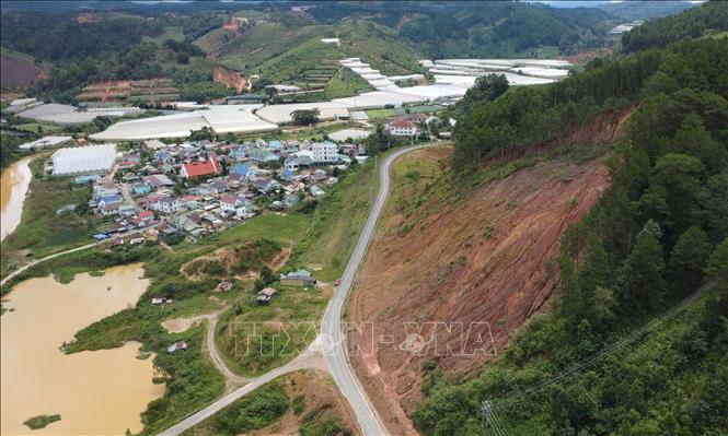 Khu vực đồi thông tại phường Lang Biang - Đà Lạt có nguy cơ sạt lở. Ảnh: Nguyễn Dũng – TTXVN 