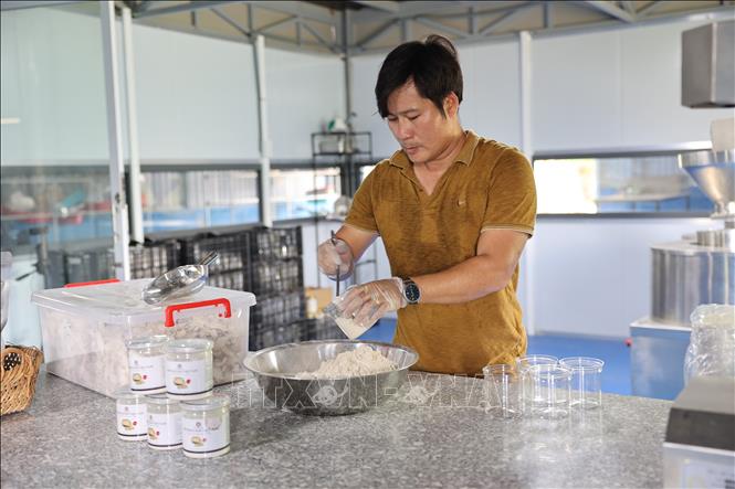 Anh Đinh Công Trường, xã Đất Đỏ đóng gói bột khoai mài mang thương hiệu Sâm Hoài Sơn Việt Nam. Ảnh: Hoàng Nhị - TTXVN