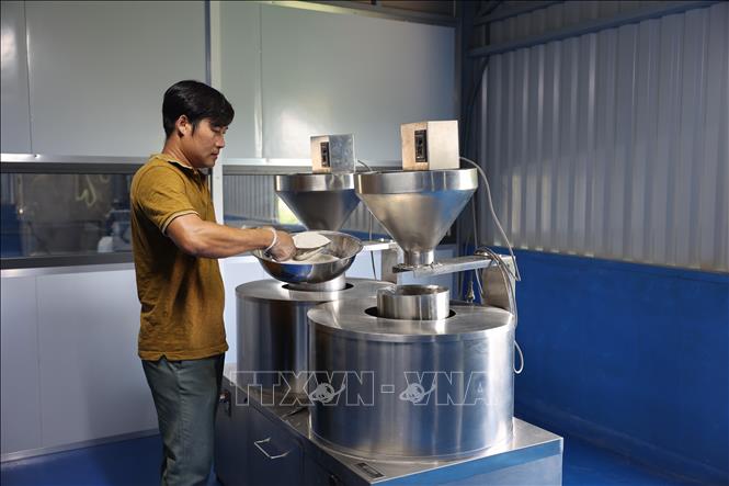 Anh Đinh Công Trường, xã Đất Đỏ, Thành phố Hồ Chí Minh, xay bột khoai mài cho sản phẩm mang thương hiệu Sâm Hoài Sơn Việt Nam. Ảnh: Hoàng Nhị - TTXVN 