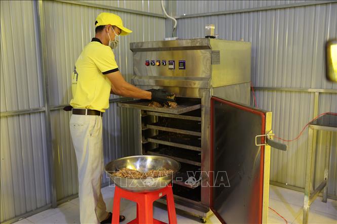 Anh Nguyễn Hữu Hiếu, xã Đất Đỏ, thành phố Hồ Chí Minh rất thành công với sản phẩm OCOP chế biến từ trái Lêkima. Ảnh: Hoàng Nhị - TTXVN
