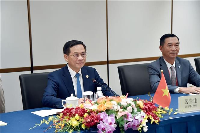 Phó Thủ tướng, Bộ trưởng Ngoại giao Bùi Thanh Sơn (trái) phát biểu tại buổi tiếp. Ảnh: TTXVN phát