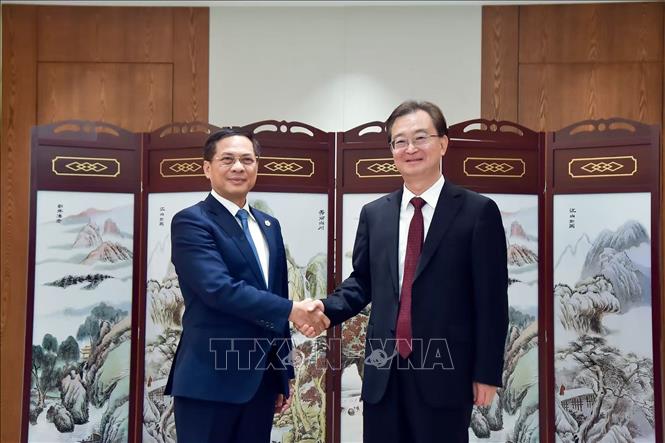 Phó Thủ tướng, Bộ trưởng Ngoại giao Bùi Thanh Sơn (trái) tiếp Bí thư Tỉnh ủy, Chủ nhiệm Ủy ban Thường vụ Nhân đại tỉnh Vân Nam Vương Ninh. Ảnh: TTXVN phát
