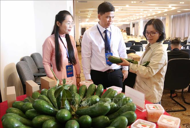 Đại biểu tham quan không gian trưng bày một số sản phẩm nông nghiệp của tỉnh Đắk Lắk bên lề hội thảo. Ảnh: Hoài Thu – TTXVN