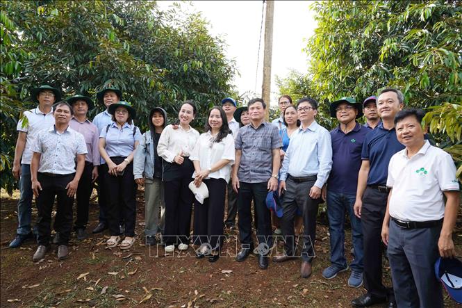 Ban Tổ chức hội thảo tham quan, khảo sát tại Hợp tác xã nông nghiệp dịch vụ Đắk Nguyên, xã Cư Pơng, tỉnh Đắk Lắk. Ảnh: TTXVN phát