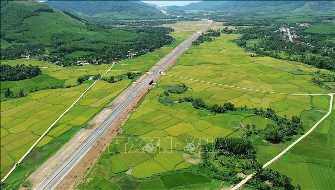 Cao tốc Hoài Nhơn - Quy Nhơn đi qua cánh đồng đúng mùa lúa chín tạo nên khung cảnh tuyệt đẹp. Ảnh: Quốc Khánh - TTXVN