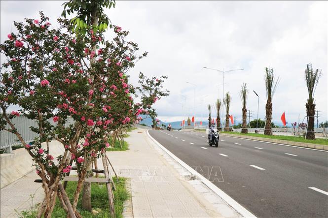 Hệ thống cây hoa được trồng vỉa hè của đường cứu hộ cứu nạn Phong Điền-Điền Lộc (Huế) tạo mỹ quan. Ảnh: Nguyên Lý-TTXVN
