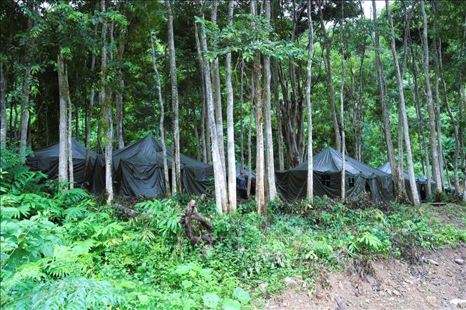 13 nhà bạt của 17 hộ gia đình đã được hoàn thiện và đưa vào sử dụng từ ngày 11/8, nằm dưới tán rừng săng lẻ thuộc bản Na Hỷ (xã Nhôn Mai, tỉnh Nghệ An). Ảnh: Xuân Tiến - TTXVN 