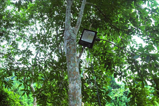Đèn năng lượng mặt trời được treo trên những cây săng lẻ, tạo ánh sáng cho cả khu nhà bạt khi đêm về. Ảnh: Xuân Tiến - TTXVN 